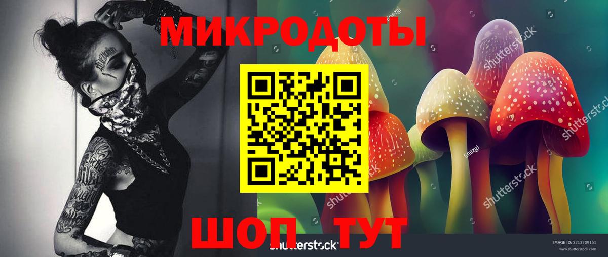 Новокубанск  Псилоцибиновые грибы мухоморы  Вход с VPN 